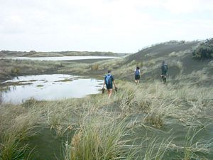 Image of whatipufeb05dunerylagoon2.jpg