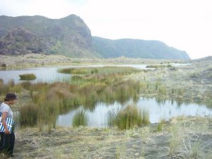 Image of whatipufeb05dunerypondery2.jpg