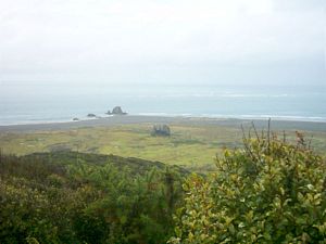 Image of whatipufeb05firstlookout2.jpg