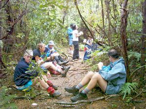 Image of whatipufeb05morningtea.jpg