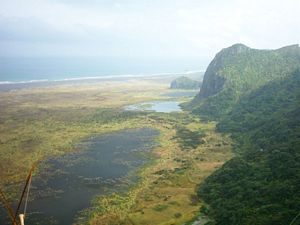 Image of whatipufeb05secondlookout.jpg