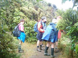 Image of whatipufeb05secondlookoutpeople.jpg