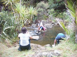 Image of whatipufeb05stream.jpg