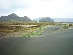 Image of whatipufeb05viewparatutae.jpg