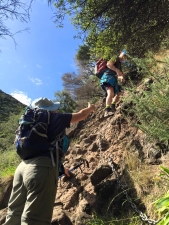 Image of whatipumar16g.jpg