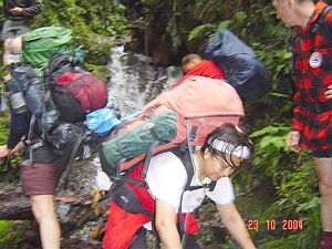 Image of whirinaki04descendingwaterfall.jpg