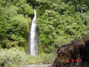 Image of whirinaki04mon051.jpg