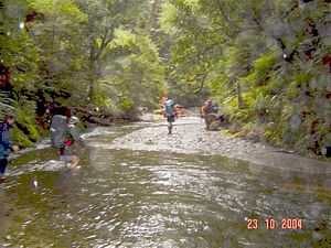 Image of whirinaki04sat038.jpg