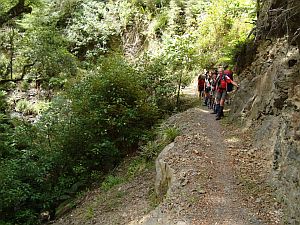 Image of whirinaki12philn (1).jpg