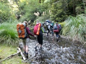 Image of whirinakifeb15a.jpg