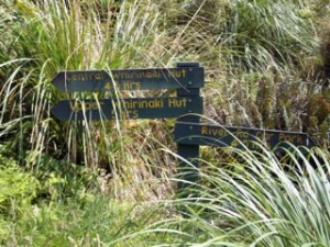 Image of whirinakifeb15b.jpg