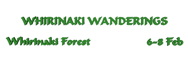 Image of whirinakiwanderings.gif