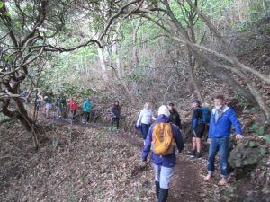 Image of whitesbeachjun20a.jpg