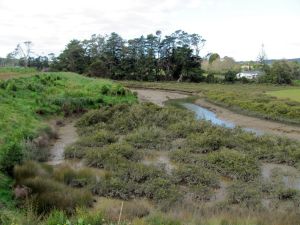 Image of whitfordaug11ckview.jpg