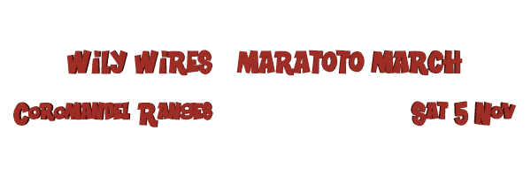 Image of wilywiresnov11.gif