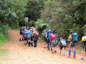 Image of wires11agscouts.jpg