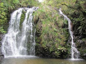 Image of wires11cafalls.jpg