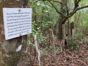 Image of wires11ddfenculum.jpg