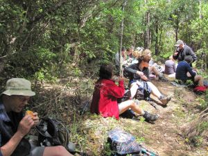 Image of wires11ealunch.jpg