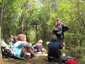Image of wires11ebfeedingthebirds.jpg