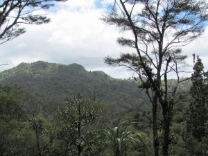 Image of wires11faview.jpg