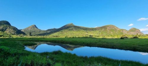 Image of womanawanuimay22g.jpg