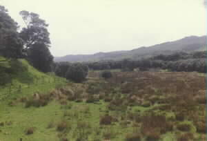 Image of woodhill1991bq.jpg