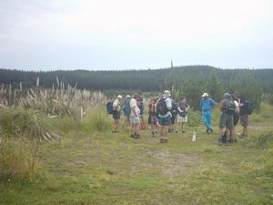 Image of woodhillnov2003afterinlandrd.jpg