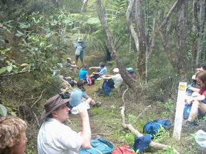 Image of woodhillnov2003afternoontea2.jpg