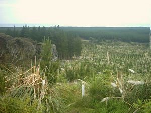 Image of woodhillnov2003climbingawayfromthecoast.jpg