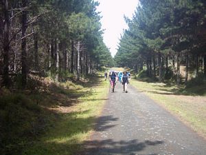 Image of woodhillnov2003coastrd.jpg