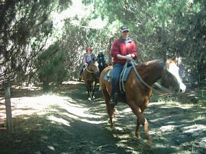 Image of woodhillnov2003horses.jpg