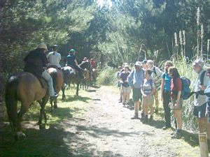 Image of woodhillnov2003horses2.jpg