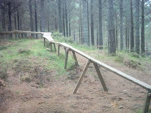 Image of woodhillnov2003mountainbiketrack.jpg