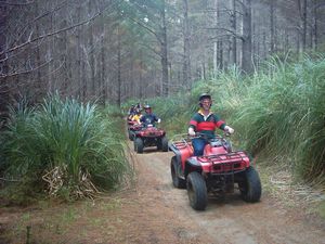 Image of woodhillnov2003quadbikes.jpg