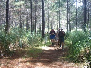 Image of woodhillnov2003settingout.jpg