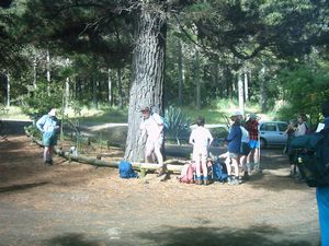 Image of woodhillnov2003start.jpg