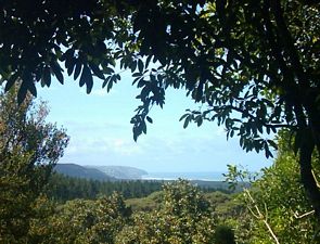 Image of woodhillnov2003viewmuriwai.jpg