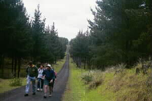 Image of woodhillroad2q.jpg