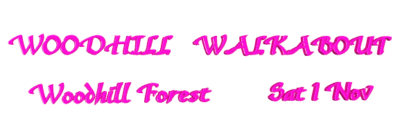 Image of woodhillwalkabout.gif