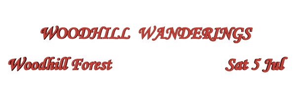 Image of woodhillwanderings14.gif