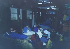 Image of woolshedbeddiebiesq.jpg