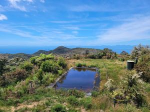 Image of abeltasmansummer24i.jpg