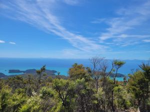 Image of abeltasmansummer24l.jpg