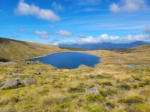 Image of abeltasmansummer24m.jpg