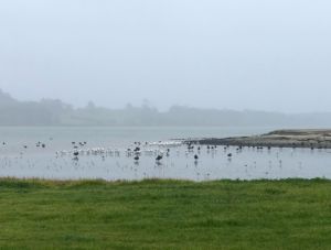 Image of amburyjun24a.jpg