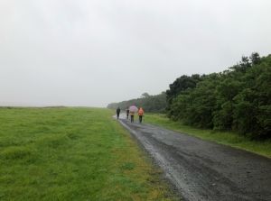 Image of amburyjun24b.jpg