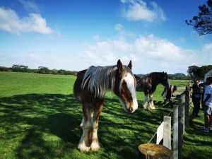 Image of amburyparksep24a.jpg