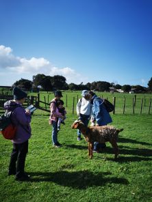 Image of amburyparksep24c.jpg