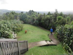 Image of aratakidec24a.jpg